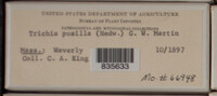 Image Associated With the Occurence